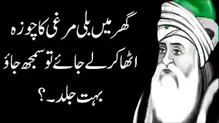 Ghar mein Billi murgi ka chuza Utha Kar Le Jaaye to samajh jao | #sufiquotes  #goldenwordsinurdu