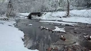 Winter Creek Sounds ❄️ Relaxing Flowing Water for Sleep, Study & Stress Relief (4K, 65 Minutes)