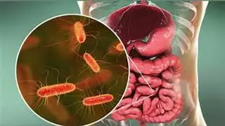 Ground Beef Recall: FSIS Issues Warning Over E. Coli Contamination