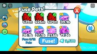 What Happened If U Fuse 3 Rb Blurred bear?
