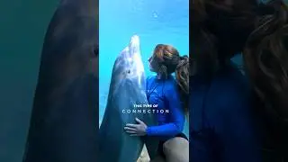 Этот тип связи&hellip;