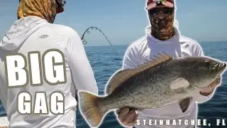 Offshore fishing for Grouper in Steinhatchee FL on the Gamefish 25