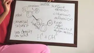 NEW Channel for Help with AP Biology!!!