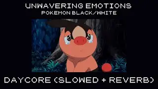 unwavering emotions | daycore (slowed+reverb) | pokemon black/white