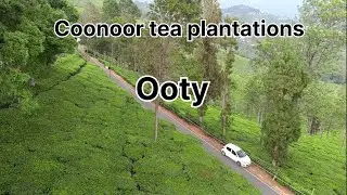 Coonoor tea plantations | ooty | Nilgiri hills |कुन्नूर चाय बागान | ऊटी | नीलगिरी की पहाड़ियाँ