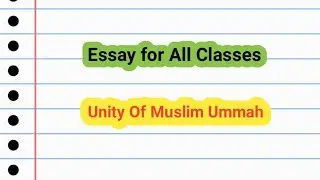 Essay 