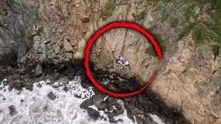 4 People Survive After Tesla Drives Over Cliff