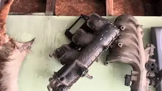 Pronto a las calles la Ford Ranger Swap 4.0
