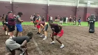 2025 DL Carius Curne