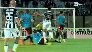 SIENA-REGGINA 2-1 STAGIONE 2013-2014 FULL HQ HIGHLIGHTS 90 MINUTO