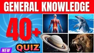 Top 40+ Smart Quiz Questions Every Student Needs to Know