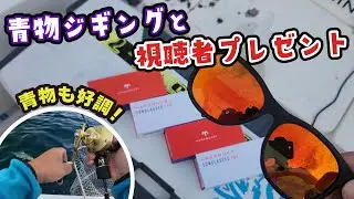 海の中が良く見えるサングラスをかけてジギングをしたらドラグが止まらなくなった！マーズクエストMARSQUEST MOMENTUM(モメンタム)