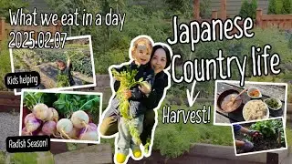 How I Feed My Son in the Japanese Countryside (2025.02.07)