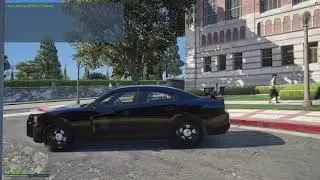 FLPD ADE Ghost 14 Charger livery