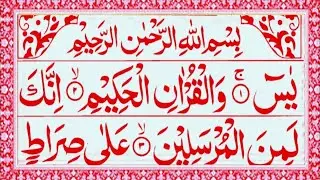Surah Yaseen ❤️ | Episode 1331 | Beautiful Quran Recitation  | Daily Live Tilawat | Read Daily Quran