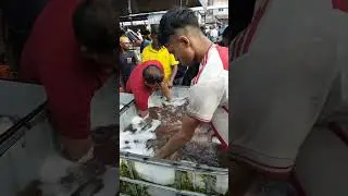 Now you can see the best view of wholesale fish market