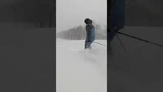 2025 Powder Ski Comparison Teaser with SkiEssentials.com