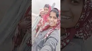This entry🔥 #bollywood #bollywoodsongs#hindisong #love#song #sweet#srk #viral #bolleywoodsong#shorts