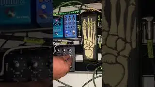 Dual rectifier 2