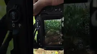 Nikon z30 camera different photoshoot#photography #camera #youtubeshorts #ytshorts