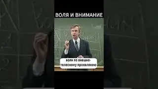ВНИМАНИЕ и ВОЛЯ #shorts #психология