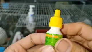Kỹ thuật nuôi thỏ_ phòng và chữa trị ecoli cho thỏ con