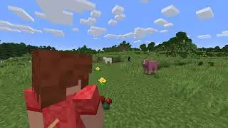 Finding the RAREST mob in Minecraft