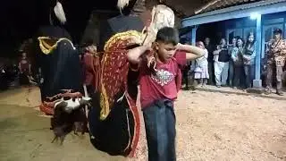 Kalapan Bantengan Satrio Putro Budoyo live baran sonosari 