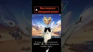 1000 звезд млбб #мем #mlbb #mobilelegends #mlbbcreator #mlbb9th #mlbbcreatorscamp #рек #млбб #rec