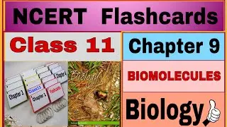 NCERT Flashcards&hellip;Chapter 9 / BIOMOLECULES / Class 11 / biology/ by Neerja