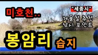 [세종]_ 미호천 봉암리 습지 / 수심 깊고 아름다운 대물 낚시 포인트 / 세종특별시 연서면 봉암리 1017
