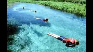 Brazil - Crystal Clear rivers of Bonito