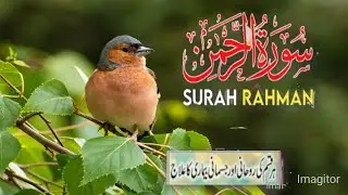 Surah AR Rahman 'beautiful Quran recitation /heart soothing voice #suraharrahman#easyQuran 