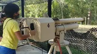 Apple cannon