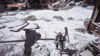 Crazy Glitch In Horizon Zero Dawn