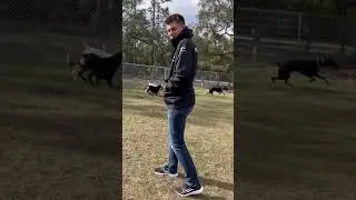 Opie trying to rile everyone up