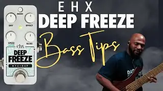 Полезен ли он для баса? Демонстрация EHX Deep Freeze Bass | Обзор | Учебное пособие | Советы и рекомендации