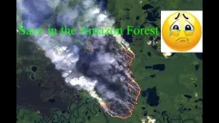 Fire in the Amazon forest // আমাজন বনে আগুন