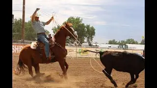 BHSS LOT 141:  Wilson The Cat | WILSON | 2015 AQHA Sorrel Gelding | Heel/Breakaway/Ranch/Barrels