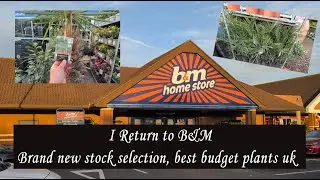 I Return to B&M for Tropical Style Plants | Best Budget Garden Finds in the UK!