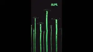House Versha Mango SpecialBeat | Free |