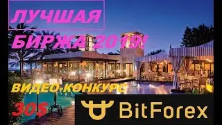 BitForex AIRDROP 30$ ЗА ВИДЕО, ПОЛНЫЙ ОБЗОР КРИПТО-БИРЖИ