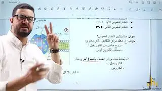 البناء الضوئي (التفاعلات الضوئية الحلقية واللاحلقية)