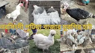 নরসিংদী পুটিয়া বাজার মুরগির হাট | Zunaed & Pets #zunaed&pets