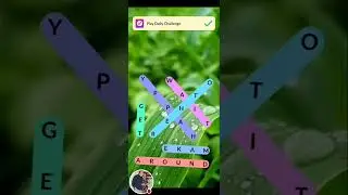 The Riggs Family Official is live! Let's Play Word Search Puzzle