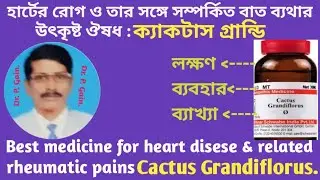(276) ক্যাকটাস হার্ট ও তার সঙ্গে সম্পর্কিত ব্যথার অব্যর্থ ঔষধ-Cactus Grandi best medicine heart &...