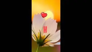 Hassan 💓 Name Status | New 2020 | M USAMA R MALIK | Full SCREEN | Tiktok