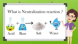 Neutralization Reaction || Acids,Bases & Salts || Class10 || Reaction of acids with bases