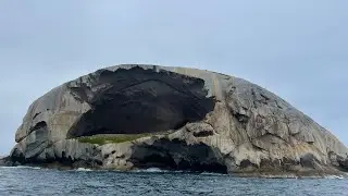 Skull Rock Wilsons Prom