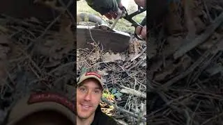 Mine with trip wire